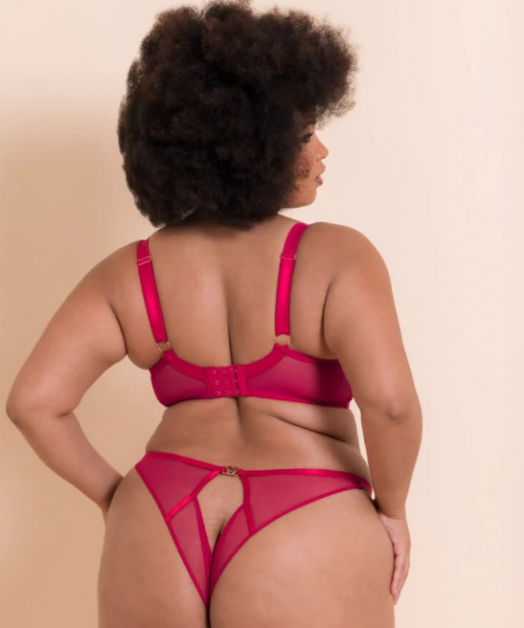 Купить Купить Бюстгальтер Scantilly Loved Up bra (розовый) 